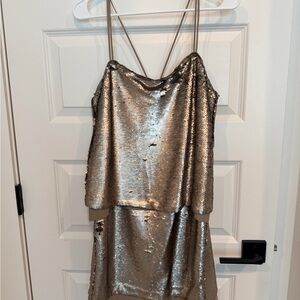 Banana Republic Silver Sequin Dress